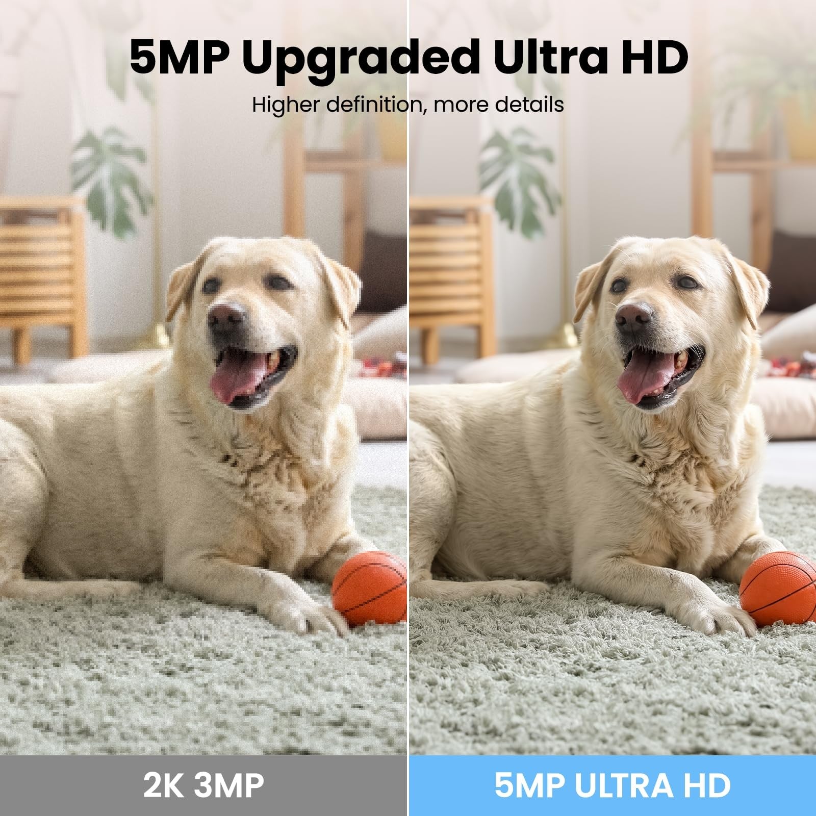 Wansview Pet Camera, Dog Camera, 5MP 5Ghz Dual-band WiFi